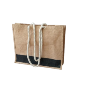 img 20260304 125551 280 removebg preview