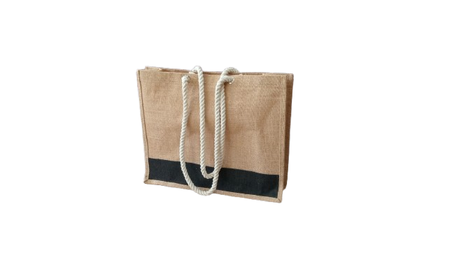 img 20260304 125551 280 removebg preview